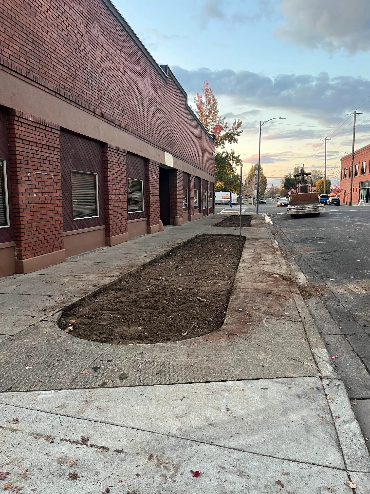 Bare dug planting strip beside a sidewalk and a brick building