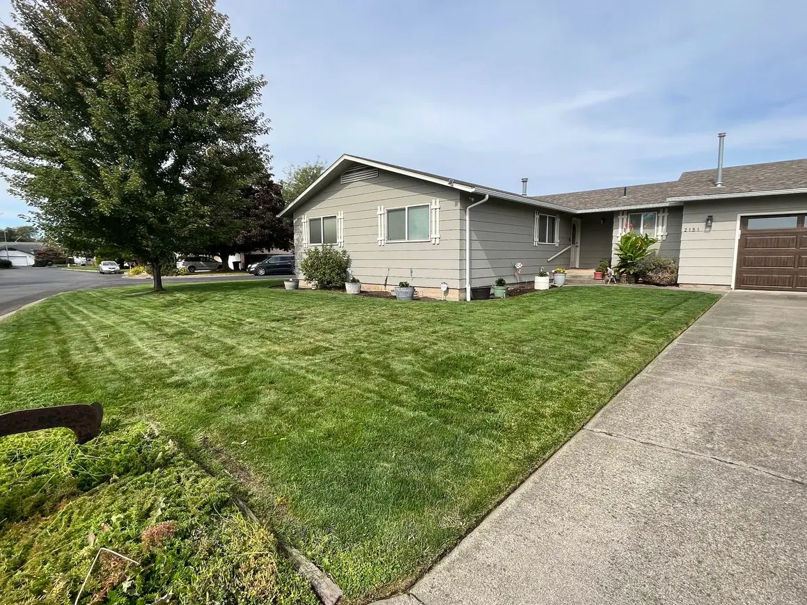 Striped lawn in front of a single-storey house